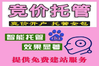 案例分享：SEM竞价代运营助力企业增长